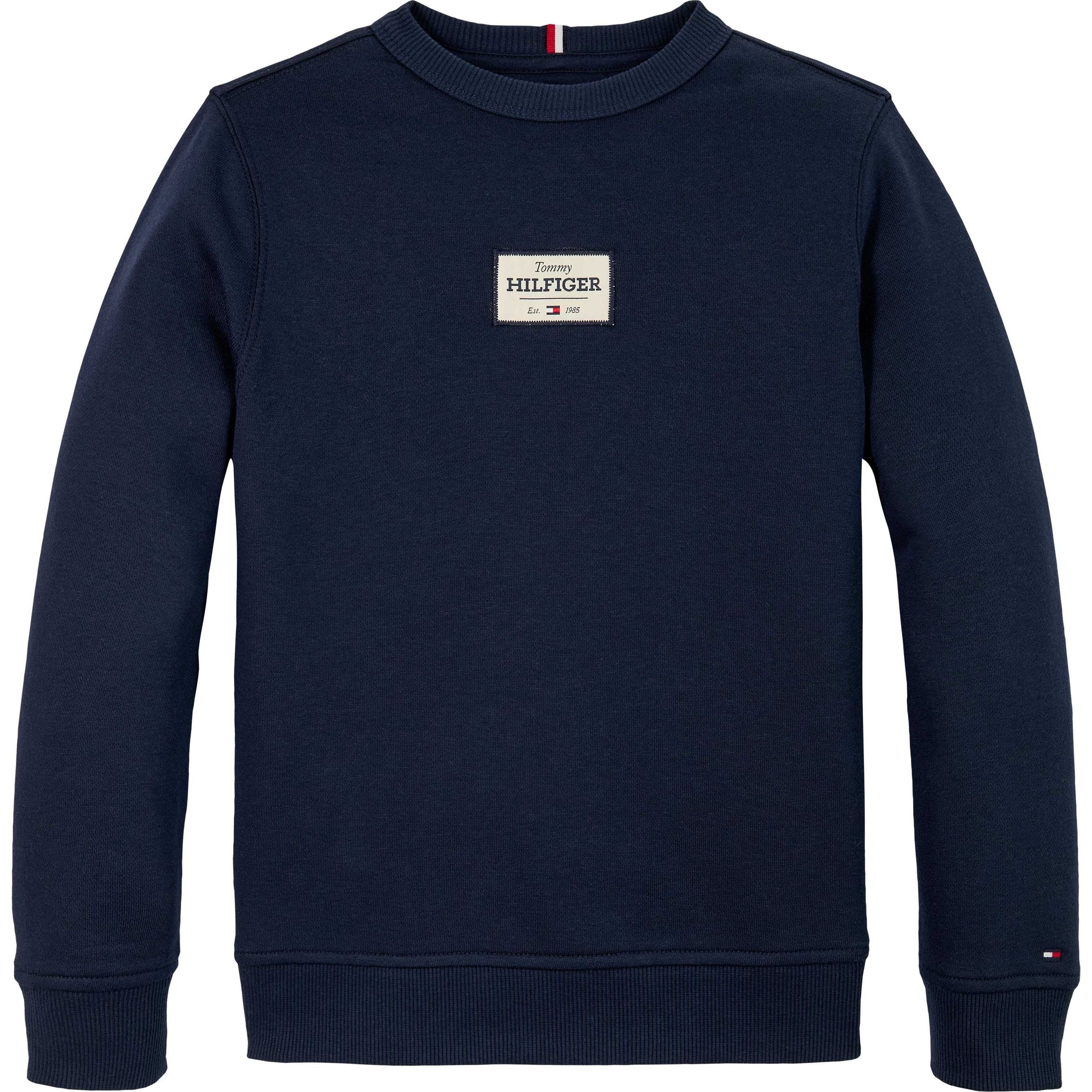 Felpa Tommy Hilfiger Monotype 1985