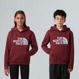 Felpa THE NORTH FACE DREW PEAK HOODIE
