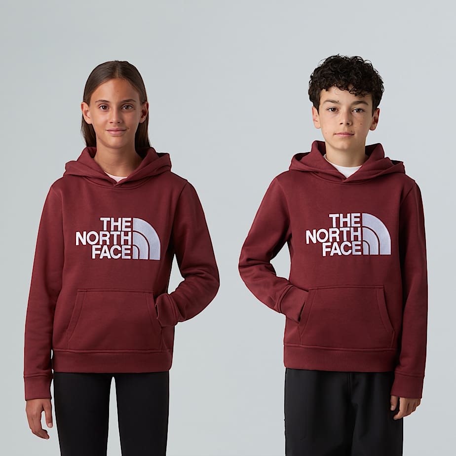 Felpa THE NORTH FACE DREW PEAK HOODIE