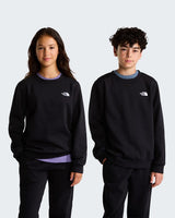 FELPA THE NORTH FACE TEEN EVOLUTION SIMPLE DOME FELPATO