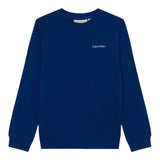 Felpa CALVIN KLEIN INST. LOGO