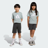 COMPLETO ADIDAS BIG LOGO