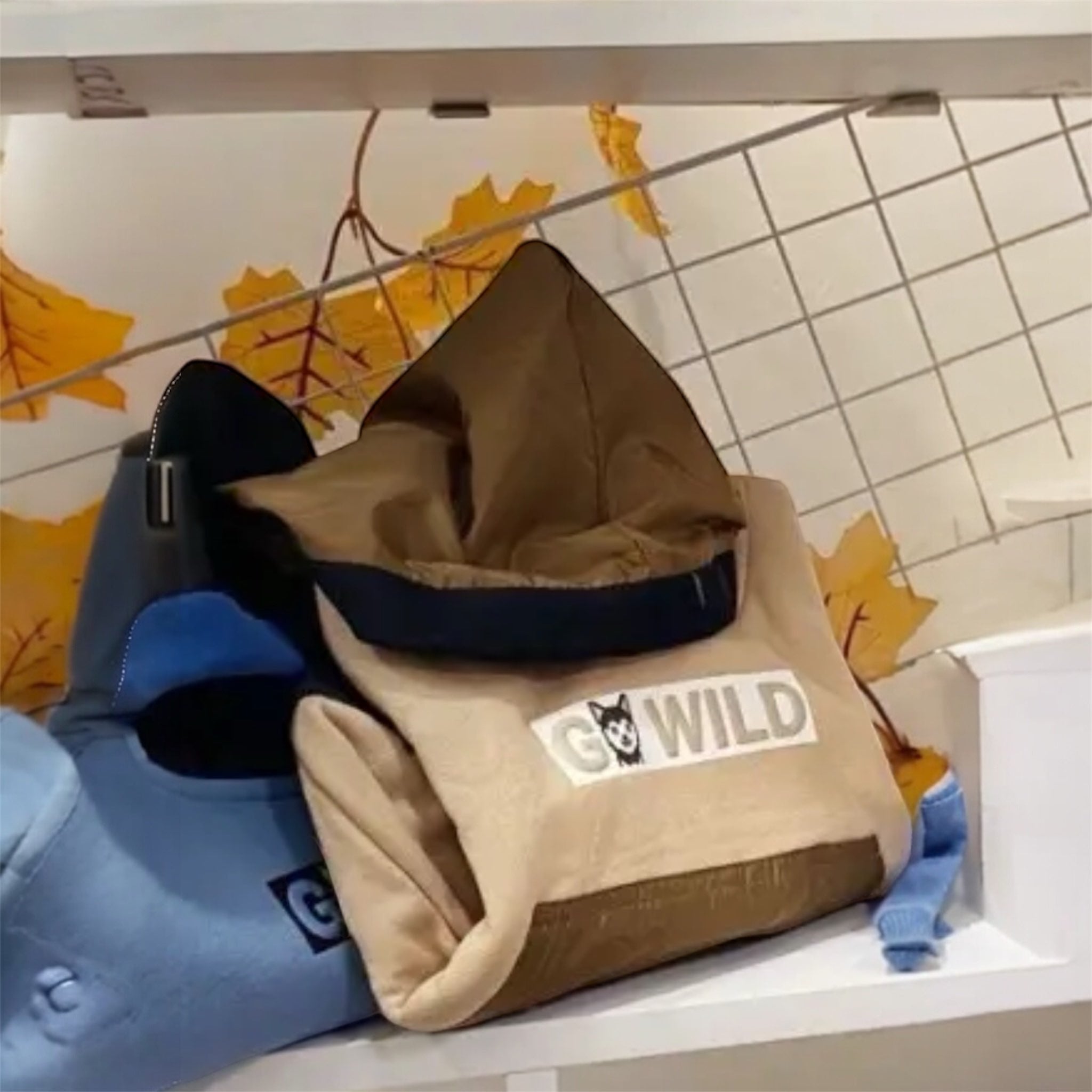 Felpa Infant Boys Wild