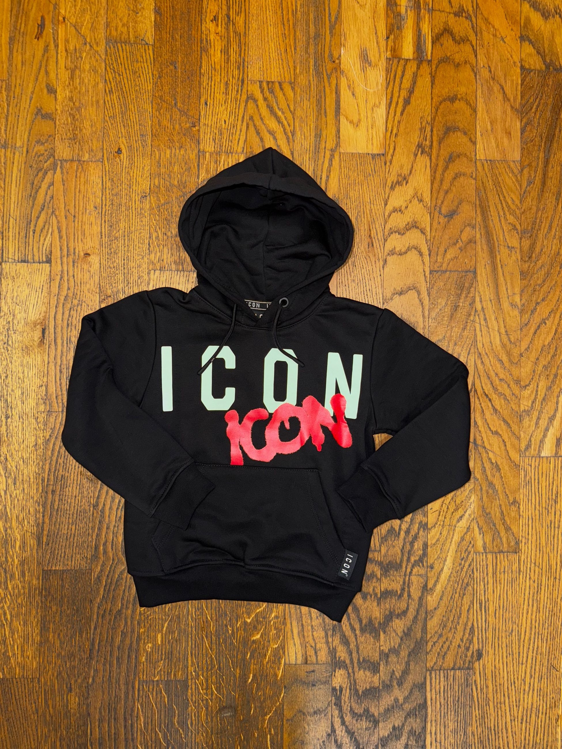 Felpa ICON HOODIE  PICTURE