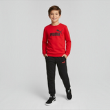 TUTA PUMA ESS LOGO FELPATO