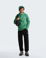 FELPA THE NORTH FACE TEEN EVOLUTION SIMPLE DOME FELPATO