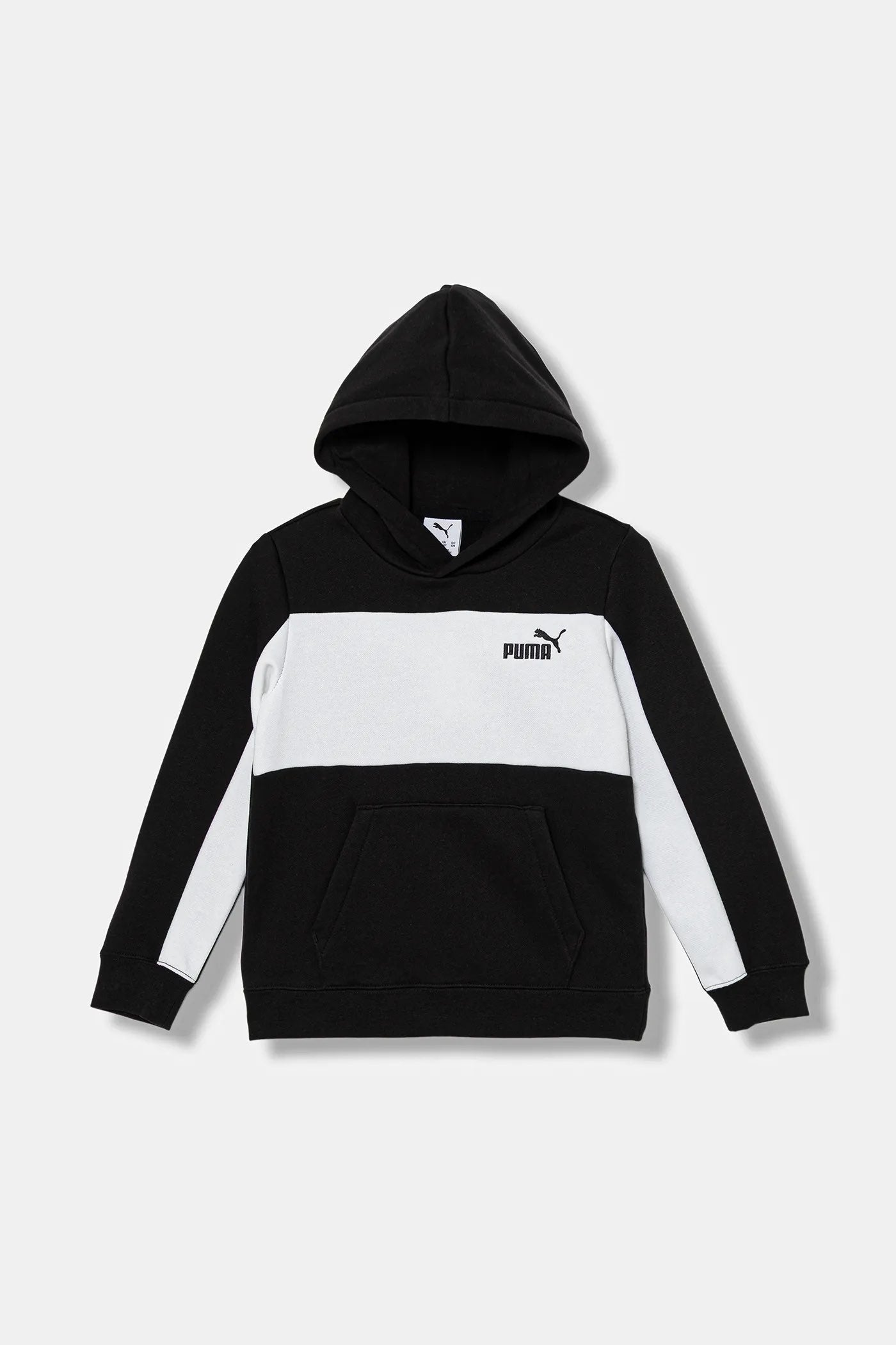 Felpa Puma ESS BLOCK Small Logo Hoodie