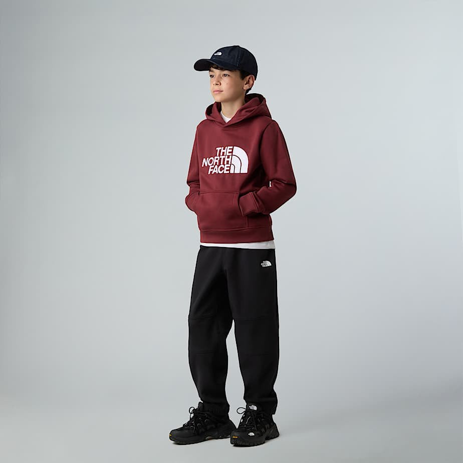 Felpa THE NORTH FACE DREW PEAK HOODIE