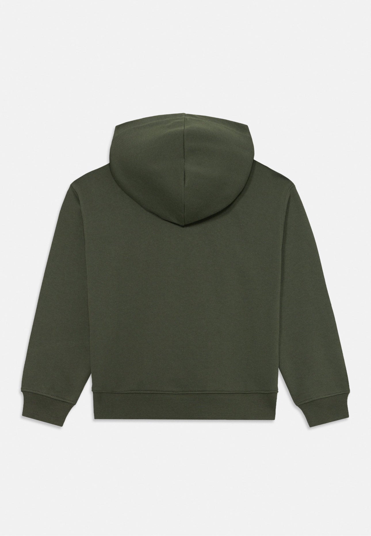 Felpa CALVIN KLEIN HOODIE COLOR
