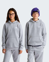 FELPA THE NORTH FACE TEEN EVOLUTION BOX FELPATO