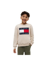 FELPA TOMMY HILFIGER HERITAGE FLAG
